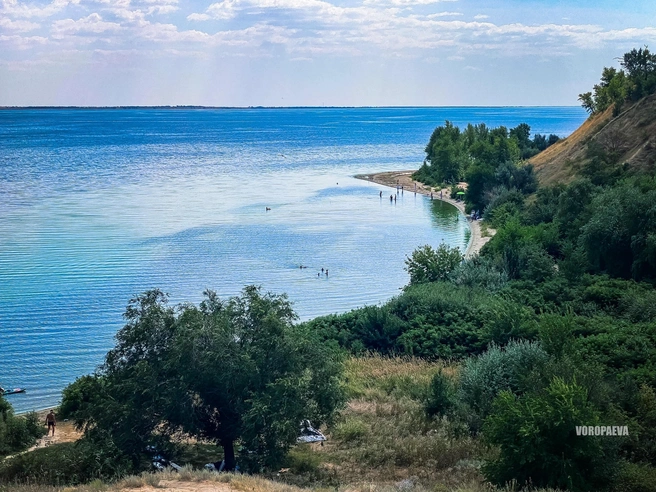 Впрочем, не во всех зонах наблюдается цветение | Источник: Юлия Воропаева