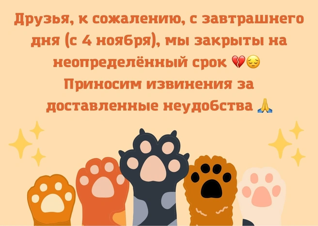 Объявление в группе котокафе | Источник: Котокафе Котовский Пермь / vk.com