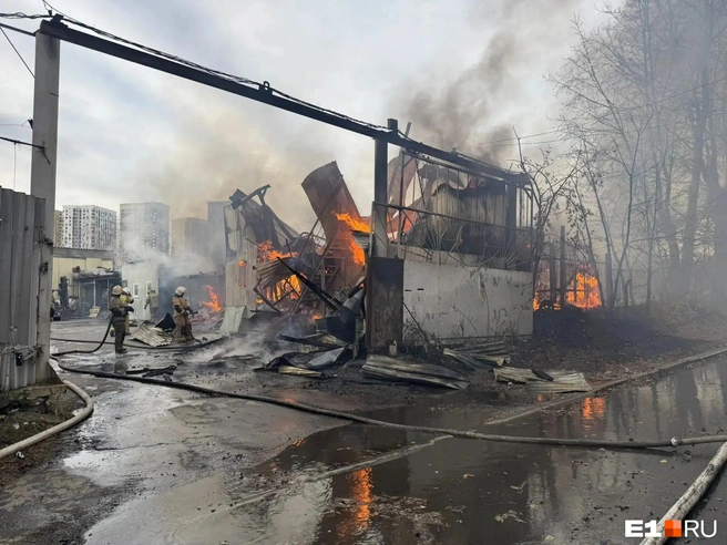 Общая площадь возгорания превысила 100 квадратных метров | Источник: ТА «Ночные новости»