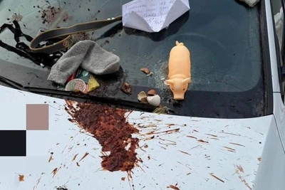 Юристка из Екатеринбурга воткнула дилдо на капот авто соседки