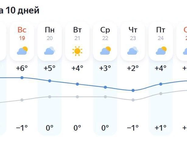 Значительных осадков не ожидается | Источник: «Яндекс.Погода»