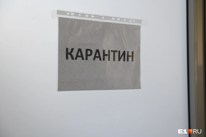 Карантин ввели до 6 июня | Источник: Артём Устюжанин / E1.RU