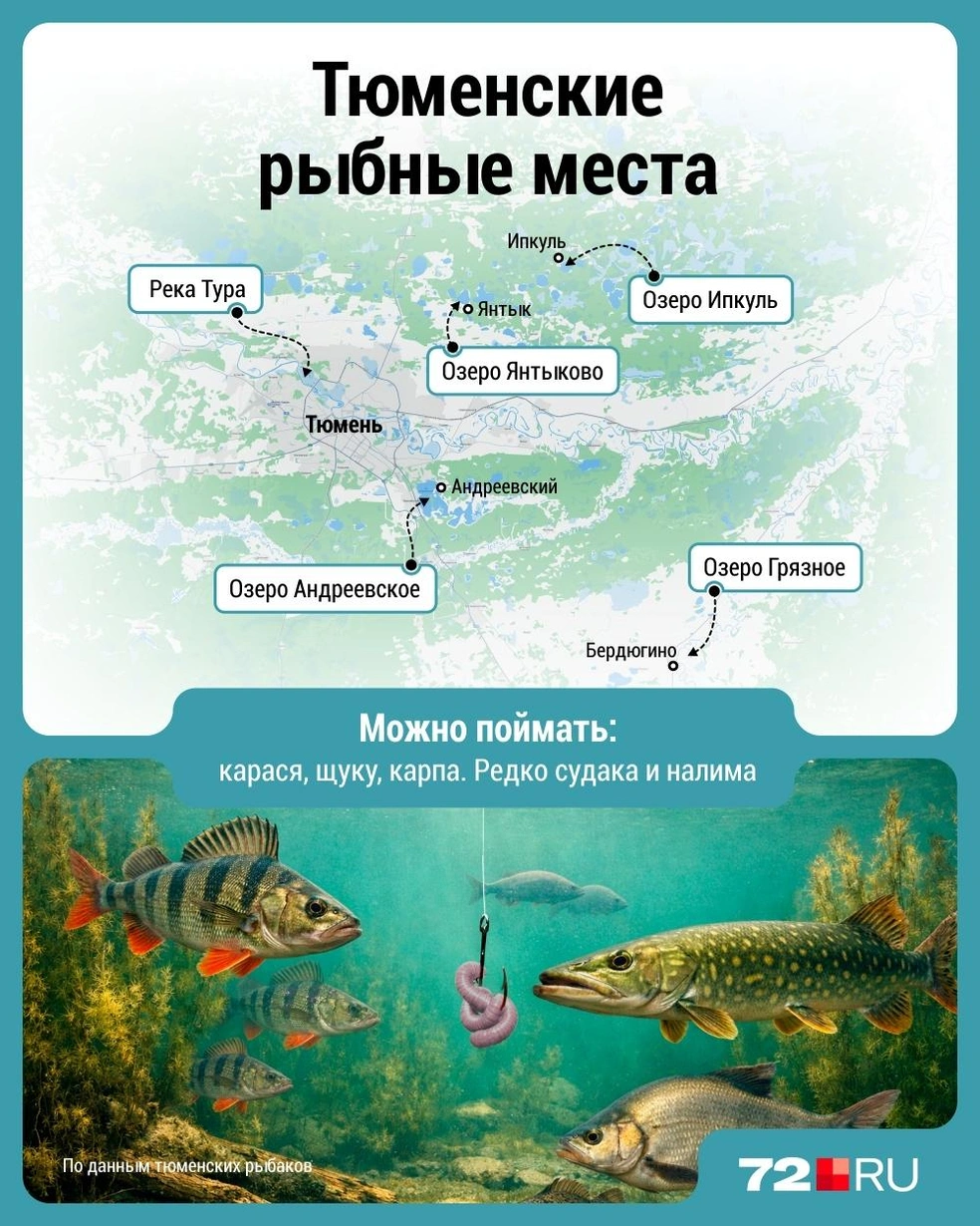 Источник: Дмитрий Гладышев / 72.RU