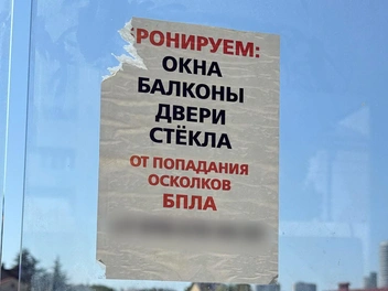 Источник: Милена Солдатенко / FONTANKA.RU