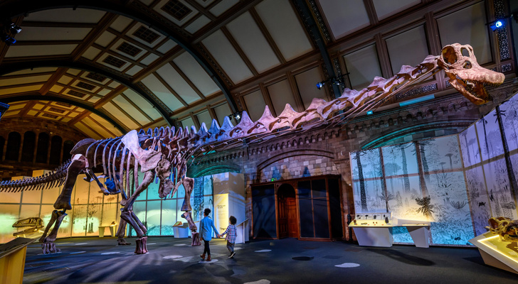 В Лондоне открывается выставка, посвященная титанозаврам