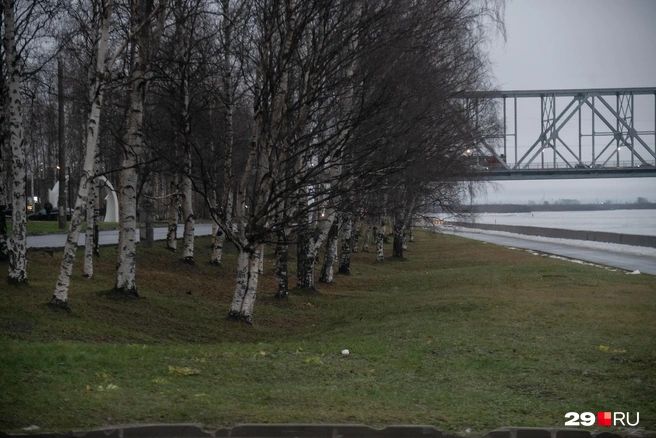 Источник: Иван Митюшёв / 29.RU