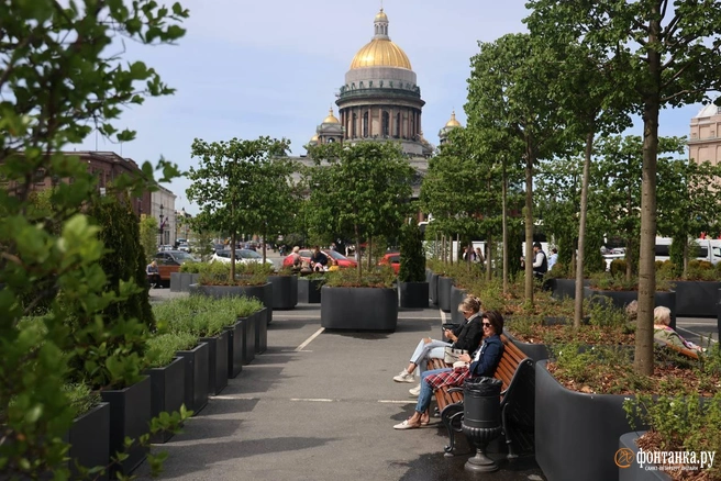 Сад-трансформер на Исаакиевской площади | Источник: Валентин Егоршин / «Фонтанка.ру»