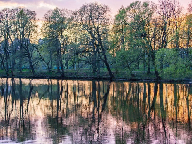 Источник: Александр Кременной. ЦПКиО им. С. М. Кирова