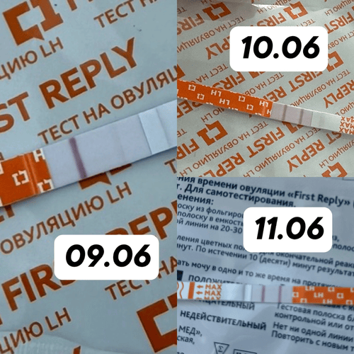 Изображение пользователя