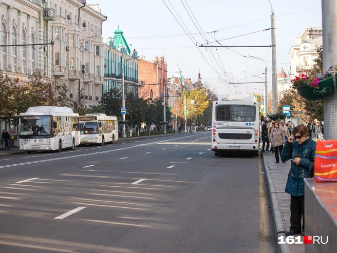 Источник: Евгений Вдовин / 161.RU