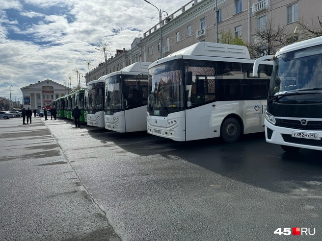Если вы ждете свой автобус, то они все здесь | Источник: Юлия Король / 45.RU 