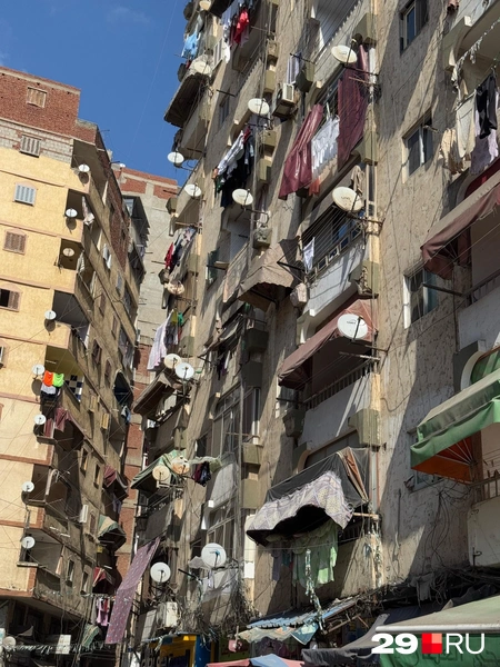 Источник: Валерия Богатырёва / 29.RU