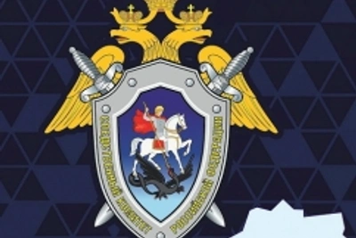 В Вытегре возбуждено дело о нападении на полицейских