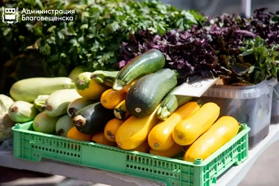 Штрафы на 200 тысяч рублей за незаконную торговлю в Благовещенске