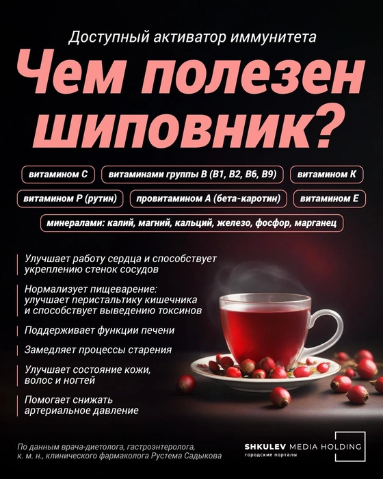 undefined Чем полезен шиповник — коротко | Источник: Полина Авдошина / Городские медиа