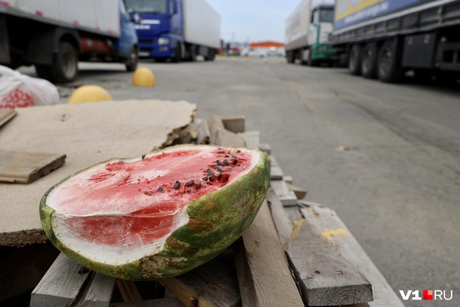 Половинка арбуза, особенно накрытая пленкой, становится раем для микроорганизмов | Источник: Наталья Лапцевич / V1.RU