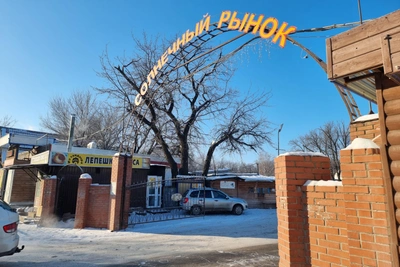 Plov, Flowers, Antifreeze: What to Find at Samara's Solnechny Market Before Closure