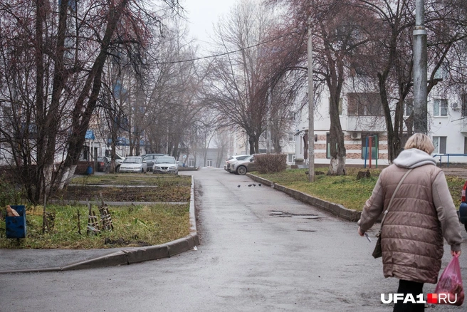 Только голуби и дама с покупками | Источник: Булат Салихов / UFA1.RU