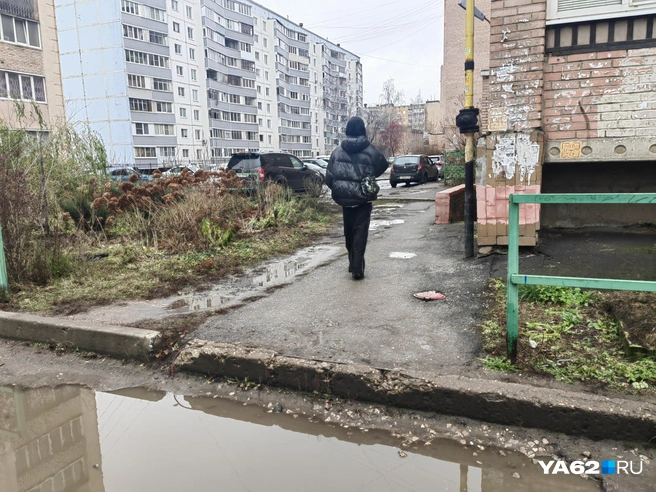 Тут даже человек без каких-либо ограничений пройдет с трудом | Источник: Кристина Мельникова / YA62.RU