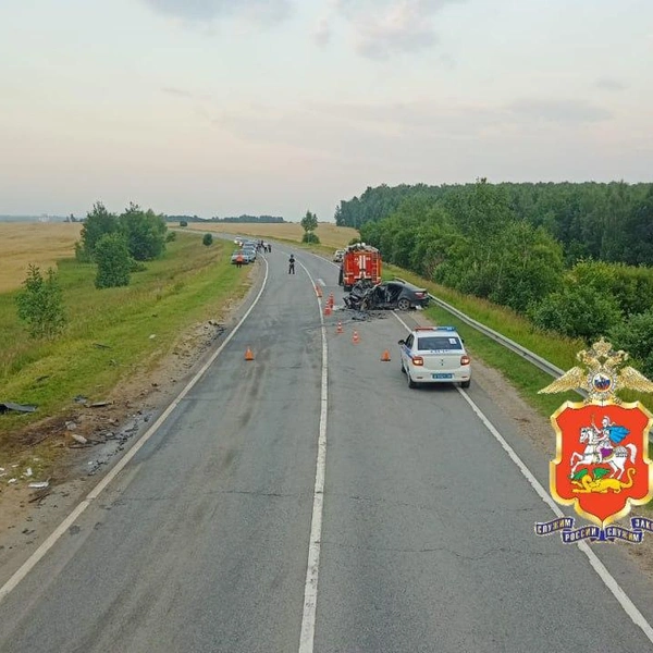 Источник: Подмосковная полиция 