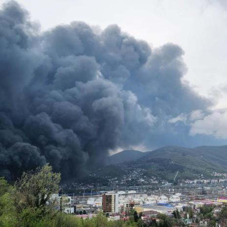 Черный дождь, пятна нефти в море и сотни отравленных животных: Туапсе терпит крупнейшую эко-катастрофу