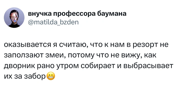 Источник: X (Twitter)