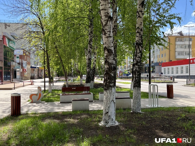 Сколько деревьев! Так можно было? | Источник: Андрей Бирюков / UFA1.RU
