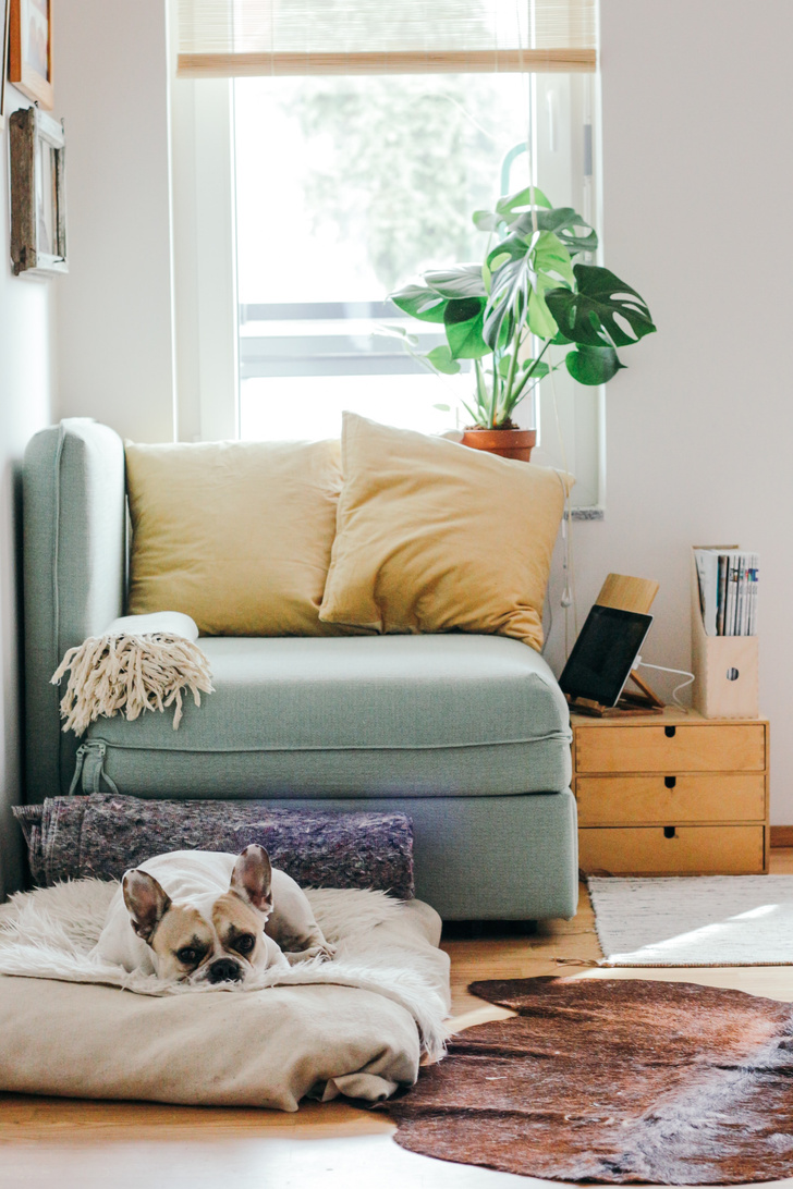 5 признаков того, что в вашей квартире много негативной энергии