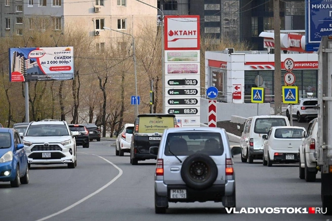 Источник: Елена Буйвол / VLADIVOSTOK1.RU