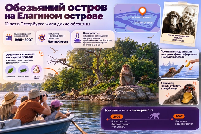 А на другом конце Петербурга когда-то происходила история еще более необычная | Источник: Кирилл Григошин / «Фонтанка.ру»