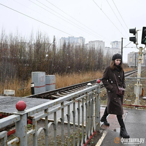 Источник: Андрей Бок / «Фонтанка.ру»