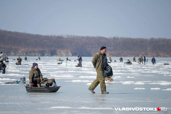 Источник: Елена Буйвол / VLADIVOSTOK1.RU