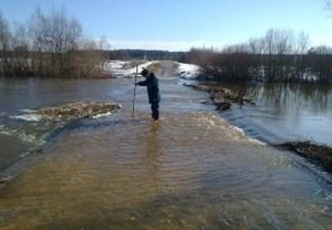В Сапожковском районе затоплен мост через Пару | ya62.ru