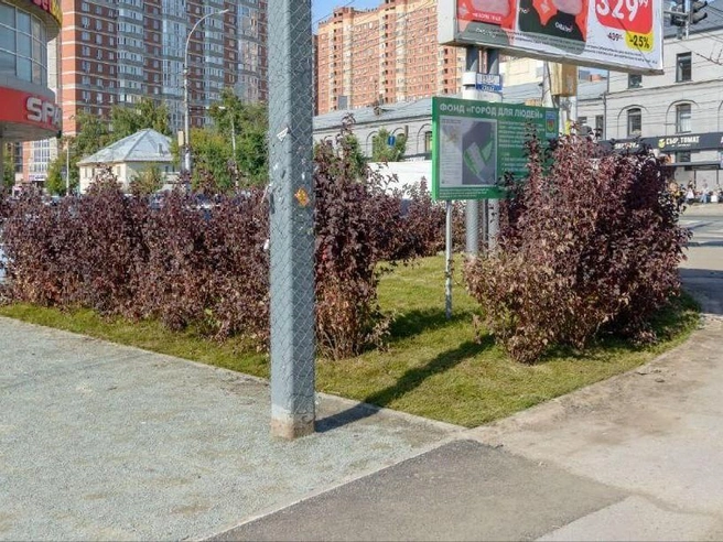 Источник: фонд «Город для людей»