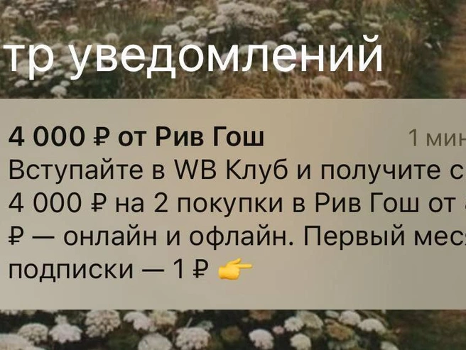 Для получения заказов не требуется куда-либо ехать: все товары доставляют в ближайшие пункты выдачи. | Источник: читатель 72.RU
