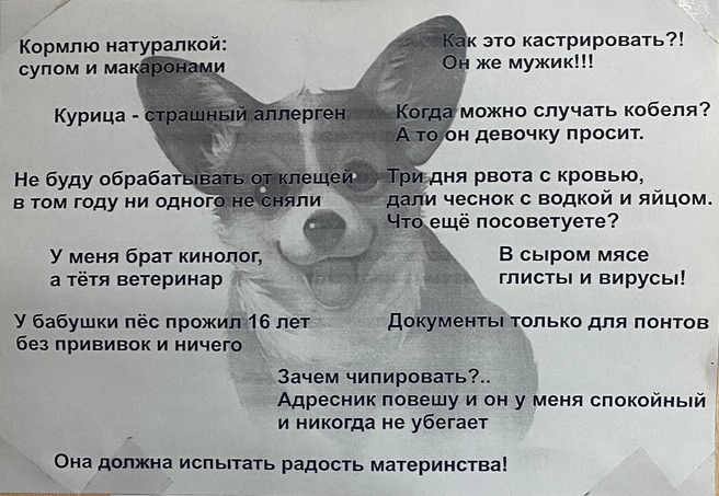 Вот такой плакат в кабинете у нашего героя | Источник: читатель 161.RU