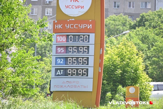 Источник: Елена Буйвол / VLADIVOSTOK1.RU