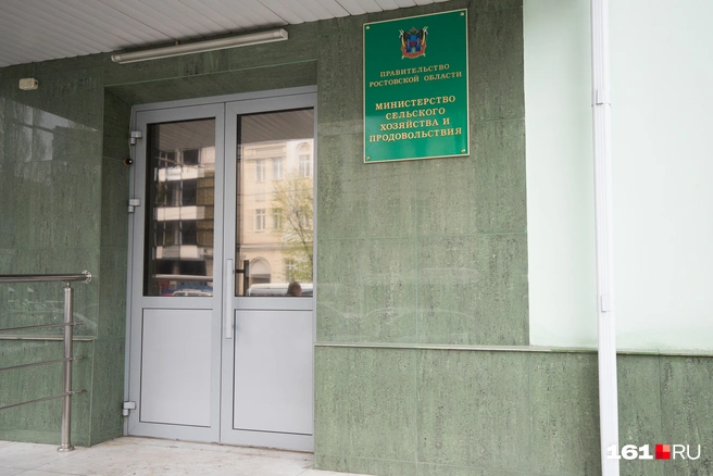 Новое задержание в Минсельхозе Ростовской области | Источник: Евгений Вдовин / 161.RU