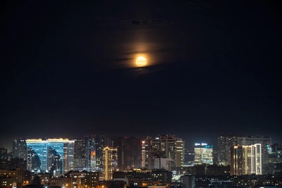 Novosibirsk model in Epstein files: Feb 3 digest