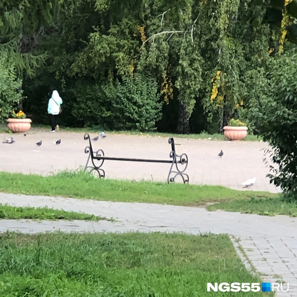 Отдохнуть здесь не получится | Источник: «Омск ВК |&nbsp;— Жизнь города&nbsp;— Новости&nbsp;— ЧП&nbsp;— ДТП» / Vk.ru