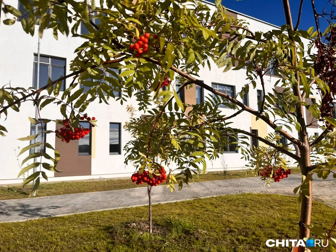 Классный День знаний! Семь новых школ открыли в Забайкалье: онлайн | Источник: Егор Захаров