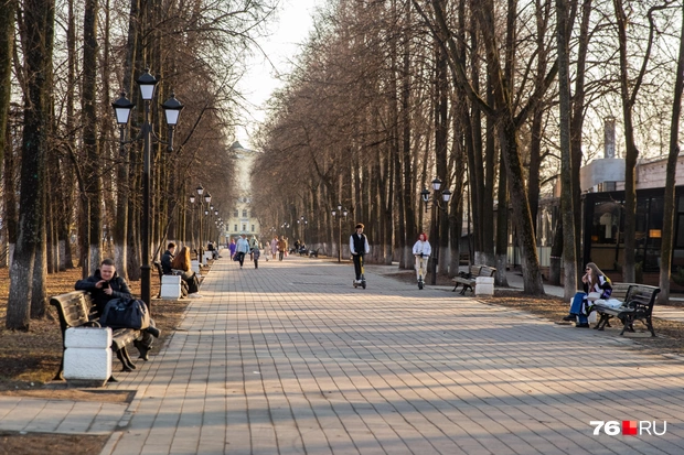 На лавках на Первомайском бульваре сейчас не посидеть | Источник: Кирилл Поверинов / 76.RU
