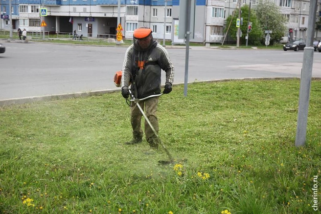 Источник: st.cherinfo.ru