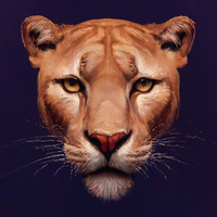 Аватарка 0ksanchik