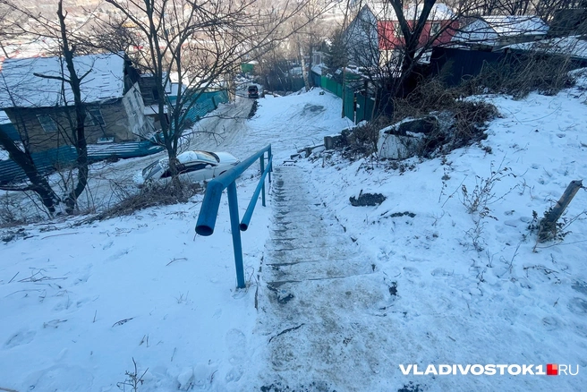 Источник: Елена Буйвол / VLADIVOSTOK1.RU