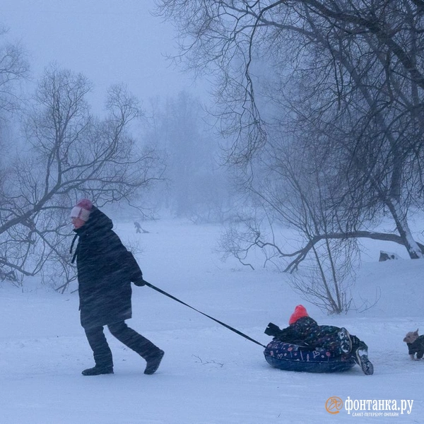 Источник: Сергей Николаев / FONTANKA.RU