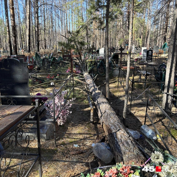 Источник: Кирилл Митин