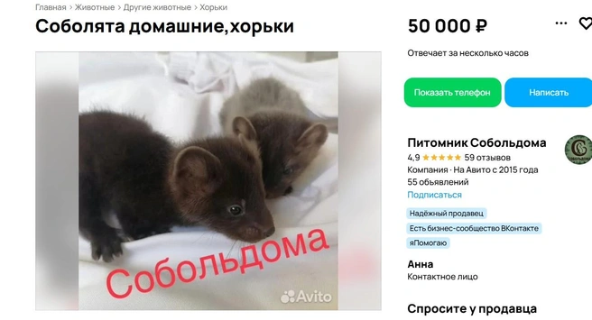 Частичка леса | Источник: Авито