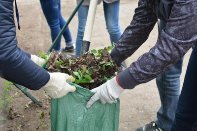 Субботники в Самаре: даты на апрель 2026