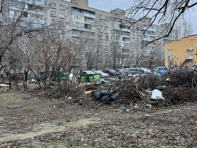Сваленные в кучу ветки и крупный мусор неизменны из сезона в сезон | Источник: читатели V1.RU